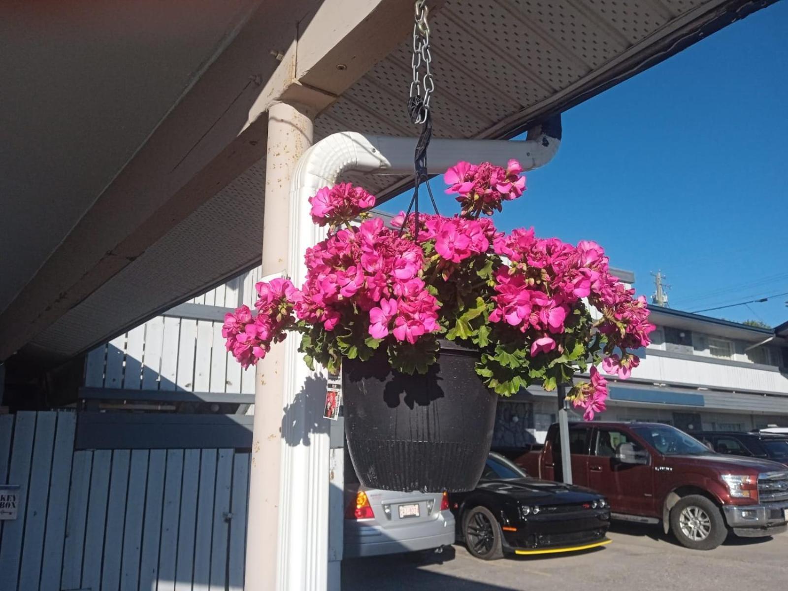 Tara Vista Inn Hinton Exterior foto